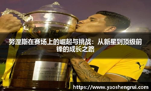 努涅斯在赛场上的崛起与挑战：从新星到顶级前锋的成长之路